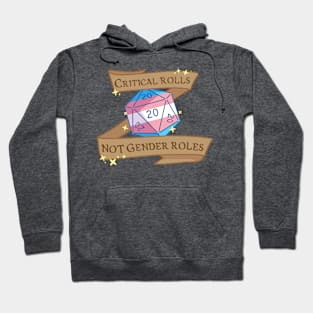 critical rolls not gender roles (transgender) Hoodie